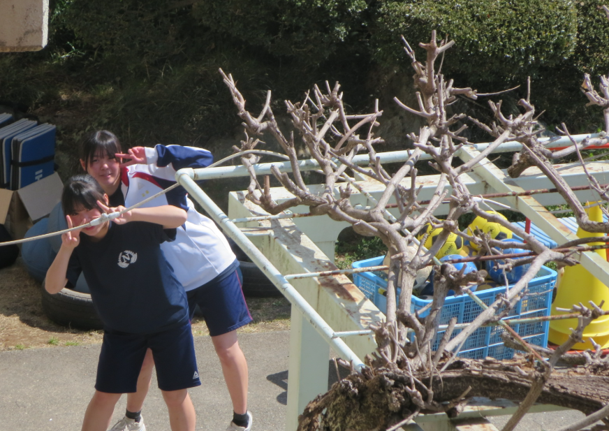 Screenshot 2026-03-12 12.39.27